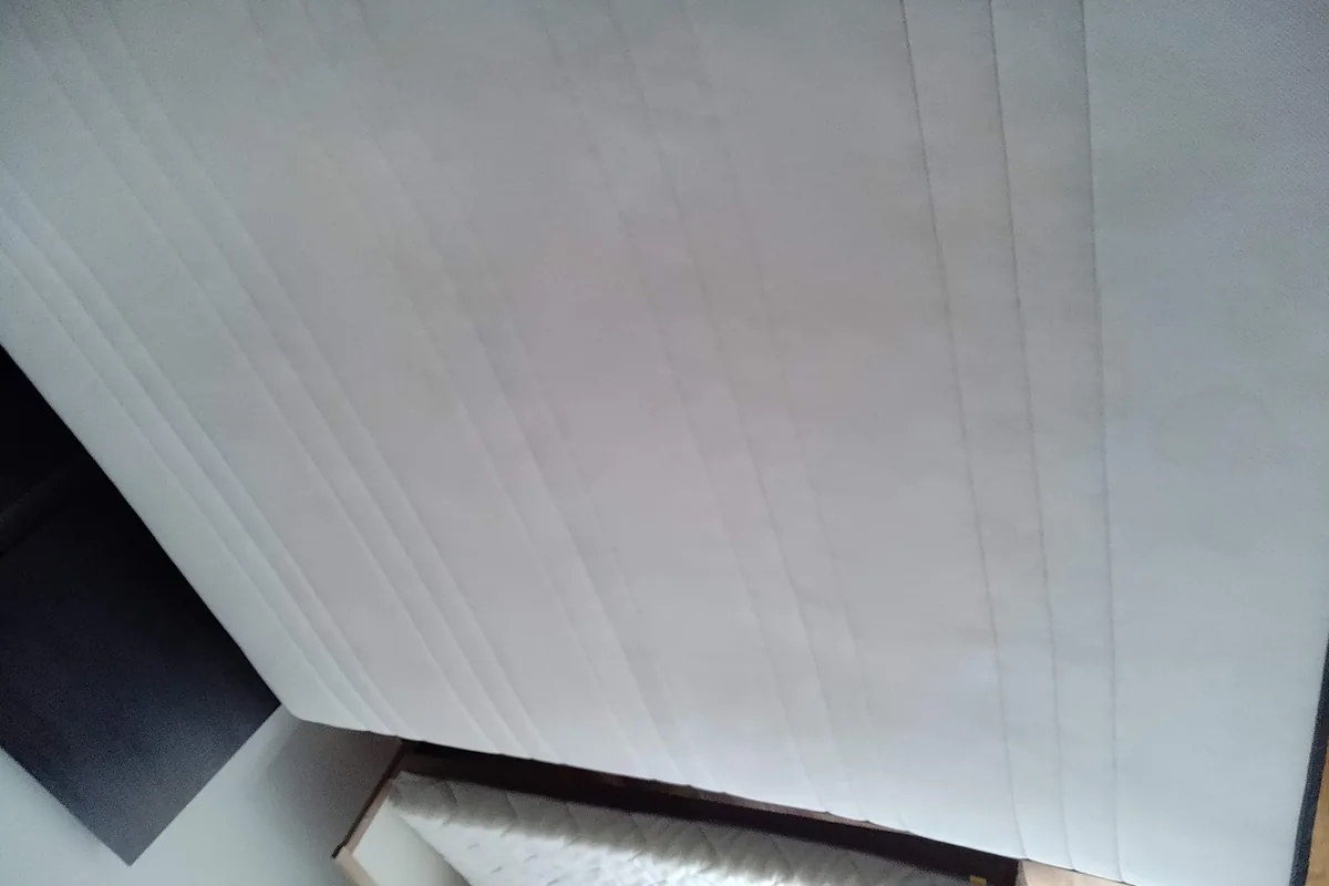 The same piece after hot water extraction