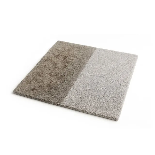 Rug with one half cleaned