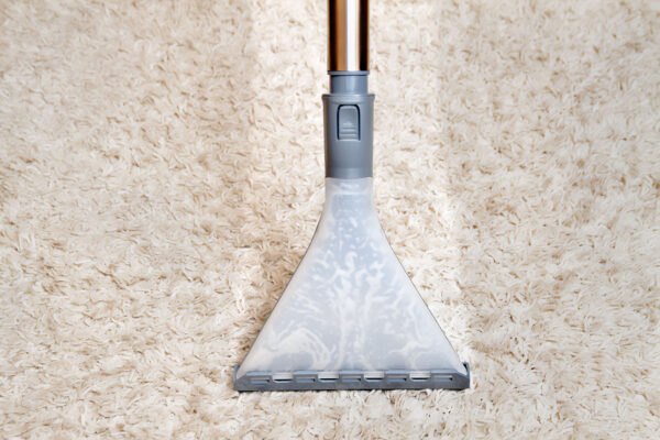 Which carpet cleaning method removes pet odours most effectively?  Sevenclean-6-1